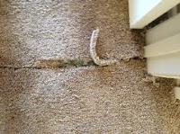 Carpet Repair and Re-Install Melbourne image 2